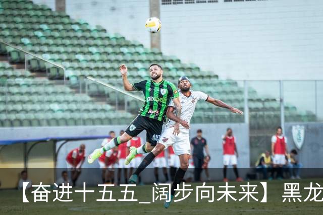 【奋进十五五 阔步向未来】黑龙江农机产业正加速迈向高端化智能化绿色化